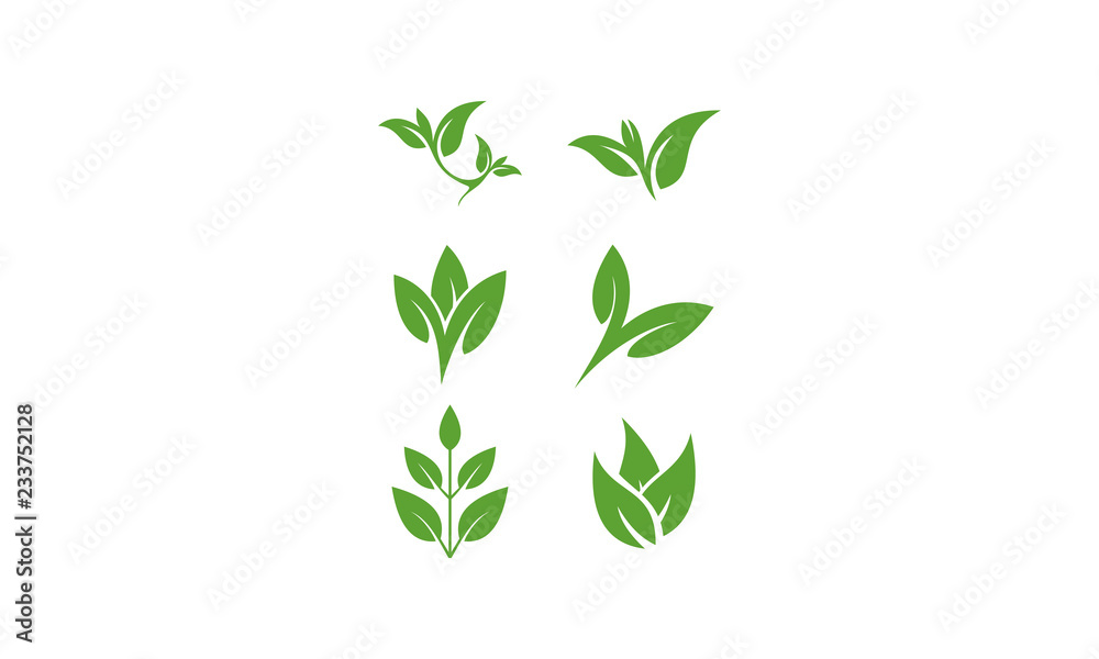 Obraz premium set leaf template vector
