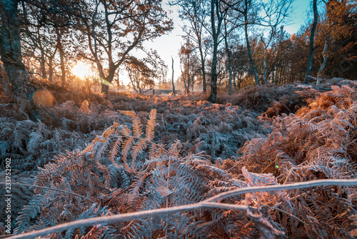A cold and frosty November morning at the Autobahn A2 in Herten, Ruhrgebiet, GErmany