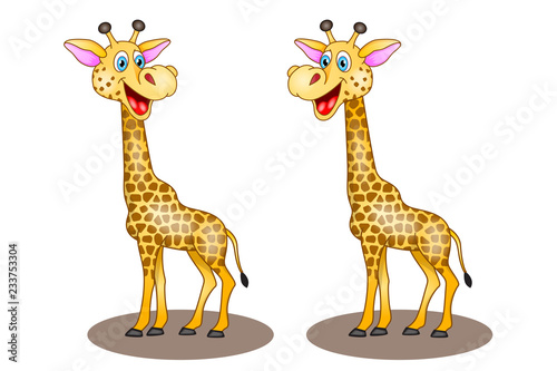 vector zebra cartoon on white background