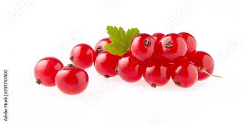 Canvas Print fresh  red currant berries photographed closeup isolated on a white background