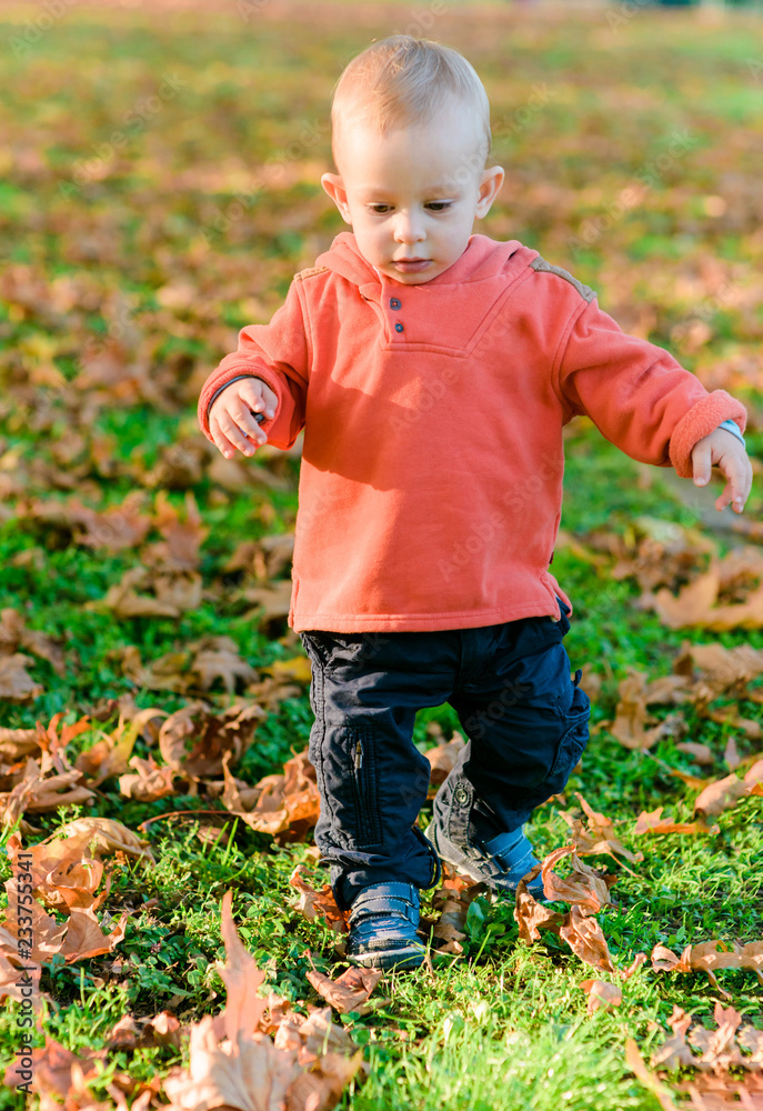 Cute toddler learning to walk on green grass outdoor Cute toddler learning to walk on green grass outdoor