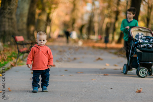 Autumn portrait of toddler boy walking in the park