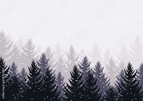 winter evening pine forest in mist. falling snow in the air. christmas theme. new year weather. background