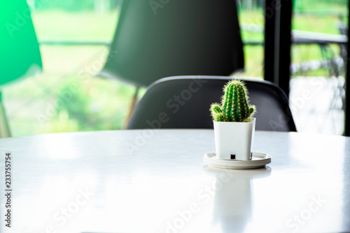 Green cactus pot on white desk with flare light in the morning  Succulent plants in pot on table in coffee restaurent