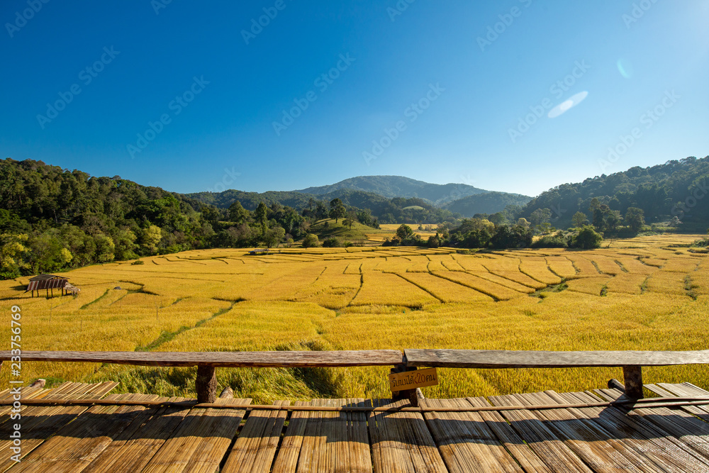 Obraz premium Beautiful landscape view of rice terraces and house