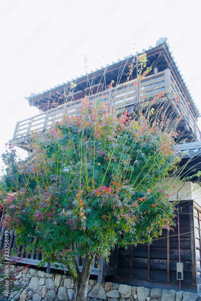 緑と溶け込む伝統建築 Stock Photo Adobe Stock