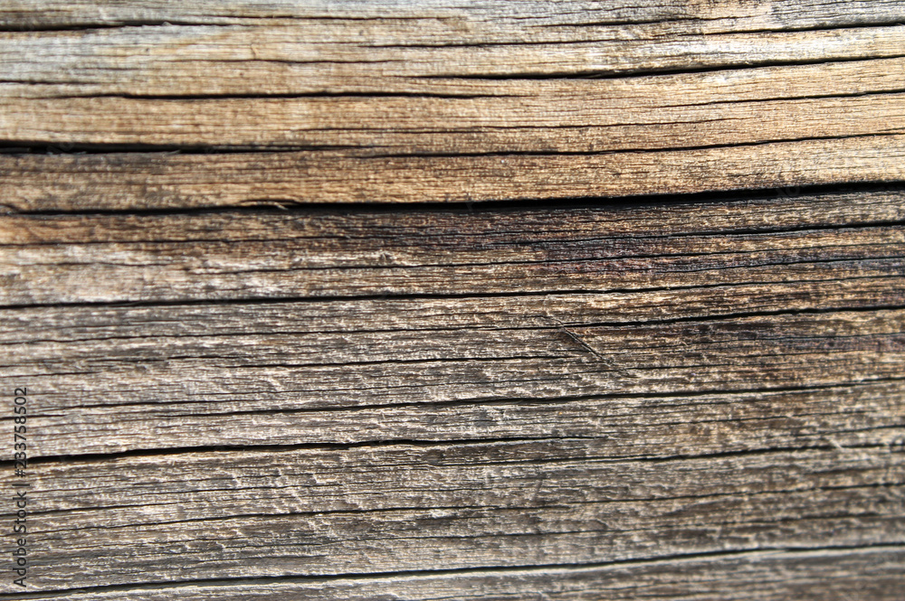 The old wood texture with natural patterns. Inside the tree background. Old grungy and weathered grey wooden wall planks texture background The old wood texture with natural patterns. Inside the tree background. Old grungy and weathered grey wooden wall planks texture background