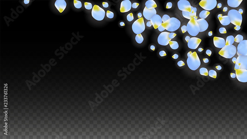 Vector Realistic Blue Petals Falling on Transparent Background.  Spring Romantic Flowers Illustration. Flying Petals. Sakura Spa Design. Blossom Confetti.