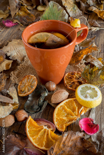 cup of tea on autumnal background