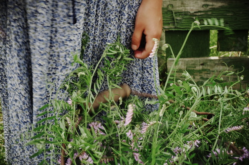 man pruning tree in garden