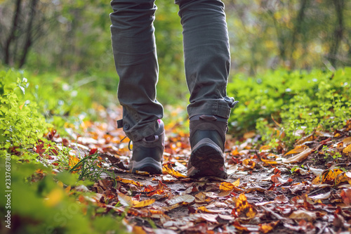 Woman is wearing hiking boot and walking on footpath in forest at autumn