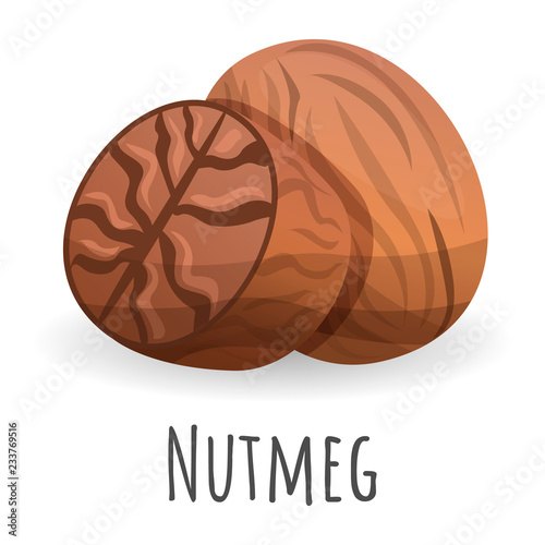 Nutmeg icon. Cartoon of nutmeg vector icon for web design isolated on white background