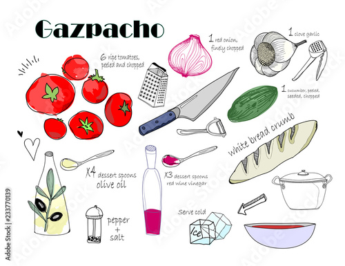 Gazpacho recipe. Hand drawn vector ingredients. All elements are isolated
