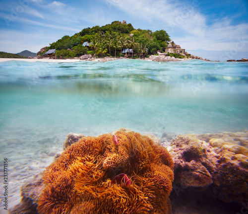 Fototapeta Naklejka Na Ścianę i Meble -  Corals, clownfish and palm island - half underwater shoot. Thailand, Koh Nang Yuan