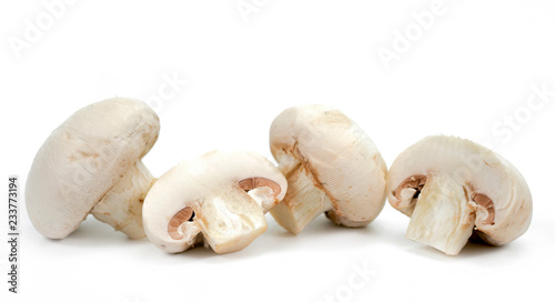 champignons on white background