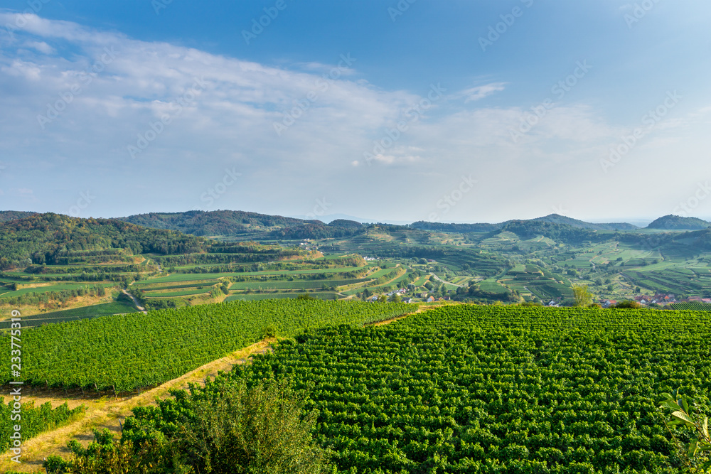 Germany, Kaiserstuhl vineyard mountains of Mondhalde wine region