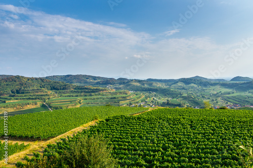 Germany, Kaiserstuhl vineyard mountains of Mondhalde wine region