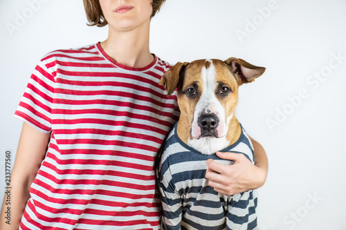 Dog and owner in similar clothes. Staffordshire terrier and human dressed in same t-shirts in studio background photo