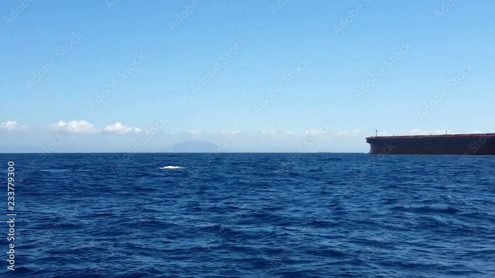 Humpback Whale (Megaptera novaeangliae) swim in bay of Vitória. Ship passes to the bottom. Espirito Santo, Brazil. Humpback Whale (Megaptera novaeangliae) swim in bay of Vitória. Ship passes to the bottom. Espirito Santo, Brazil.