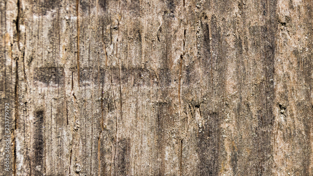 Wood surface texture Wood surface texture