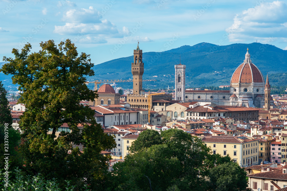 Ancient city center, Florence, Tuscany, Italy. Varicoloured beautiful building in ancient European town, view from Boboli Gardens, Florentine amazing landscape.