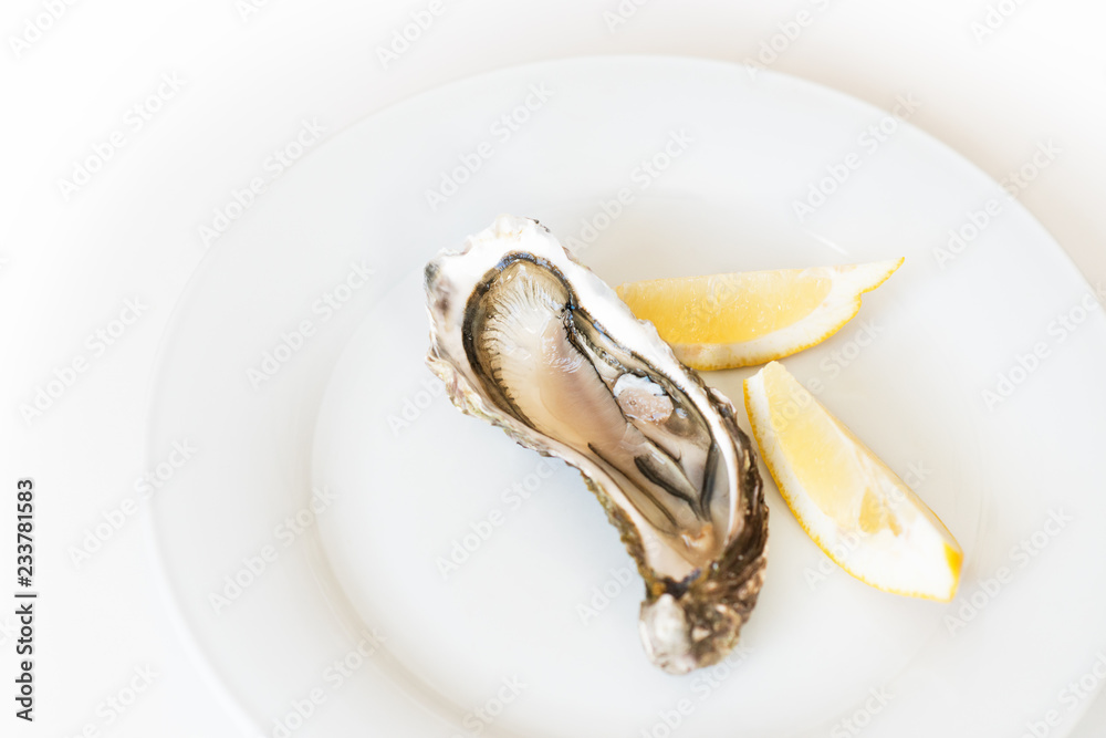 Fresh oyster. Raw fresh oyster on white round plate, image isolated, with soft focus. Restaurant delicacy. Saltwater oyster, soft focus Fresh oyster. Raw fresh oyster on white round plate, image isolated, with soft focus. Restaurant delicacy. Saltwater oyster, soft focus