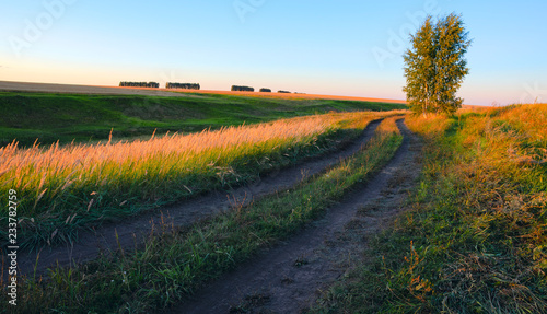 Sunny summer landscape with country road