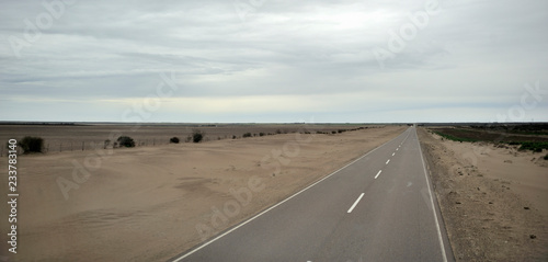 carretera RN3 cerca de Carmen de Patagones afectada por la deforestación, provincia de Buenos Aires (Argentina)