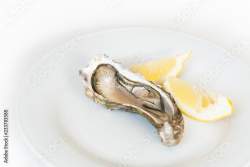 Fresh oyster with lemon. Raw fresh oyster on white round plate, image isolated, with soft focus. Restaurant delicacy. Saltwater oyster, soft focus