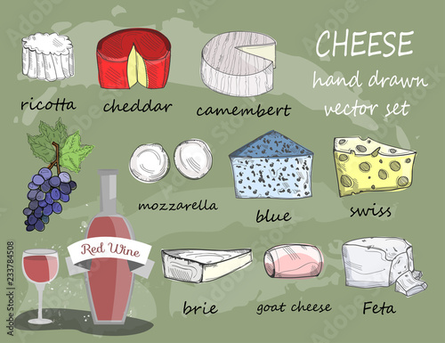 Hand drawn various sorts of cheese. Colored graphic vector set. All elements are isolated