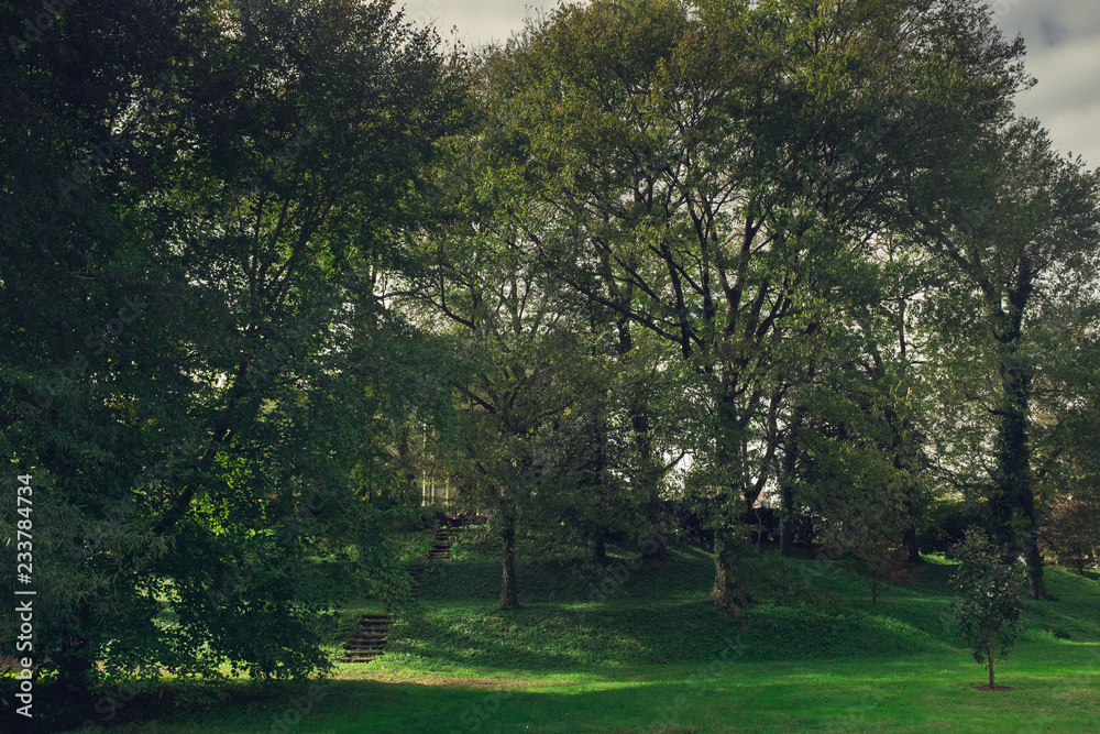 Fototapeta premium Old house behind trees at the top of a hill.
