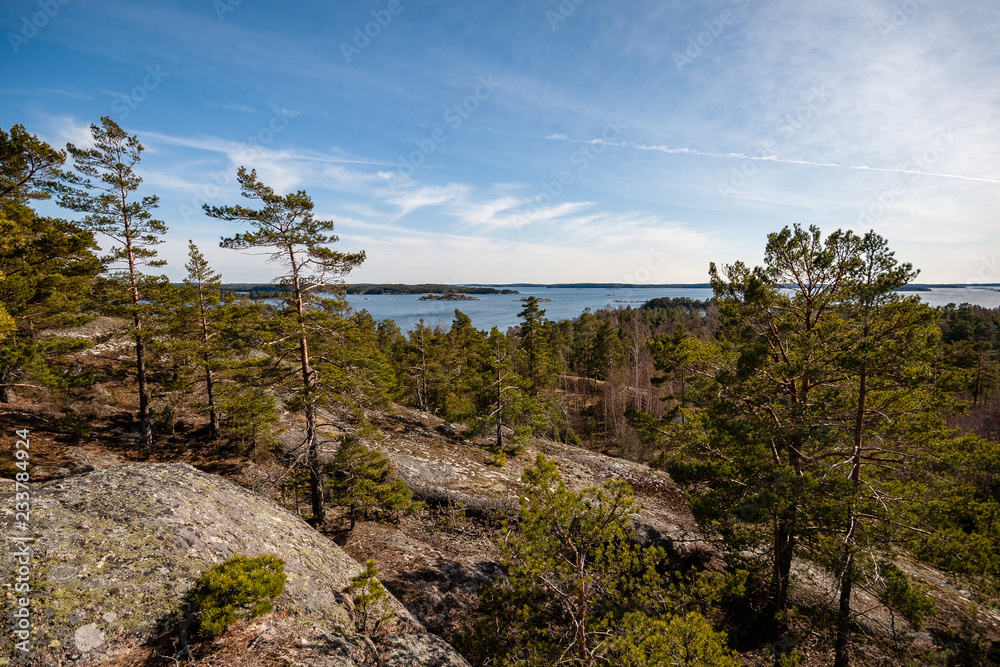 rocky coastline in Finland with few pine trees