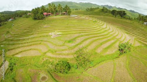 Rice fields of the Philippines. The island of Bohol. Filipino village with houses. photo