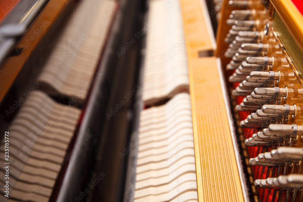 new piano with open strings indoor closeup