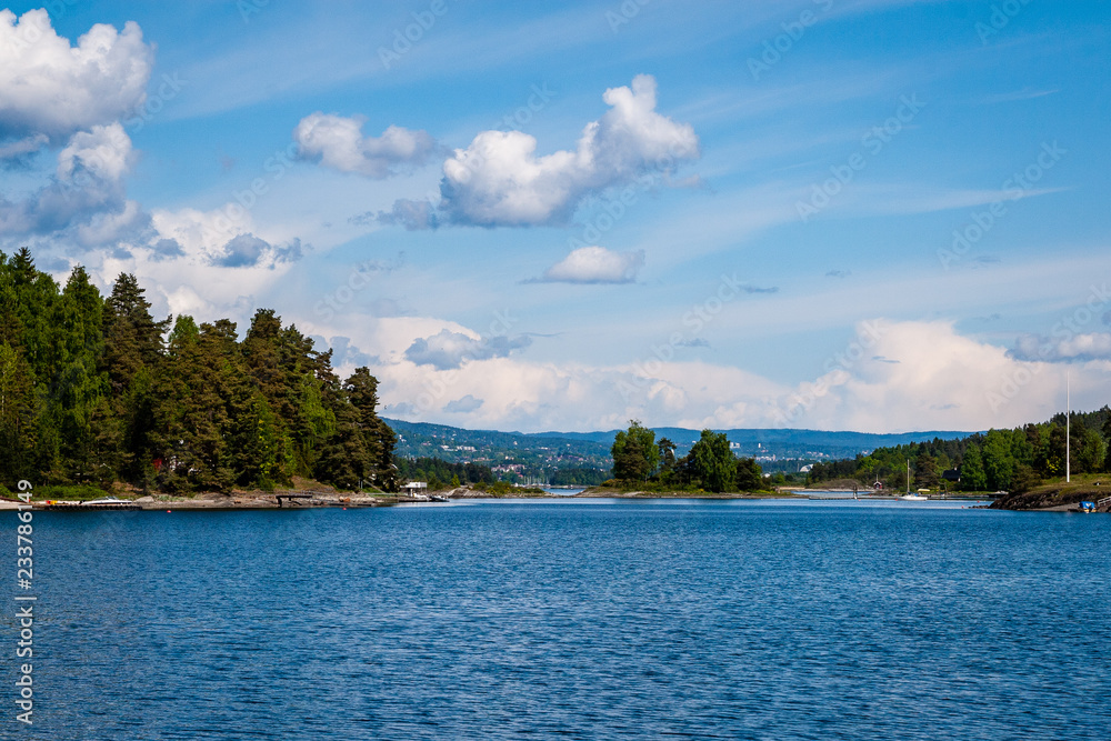 rocky coastline in Norway with few pine trees