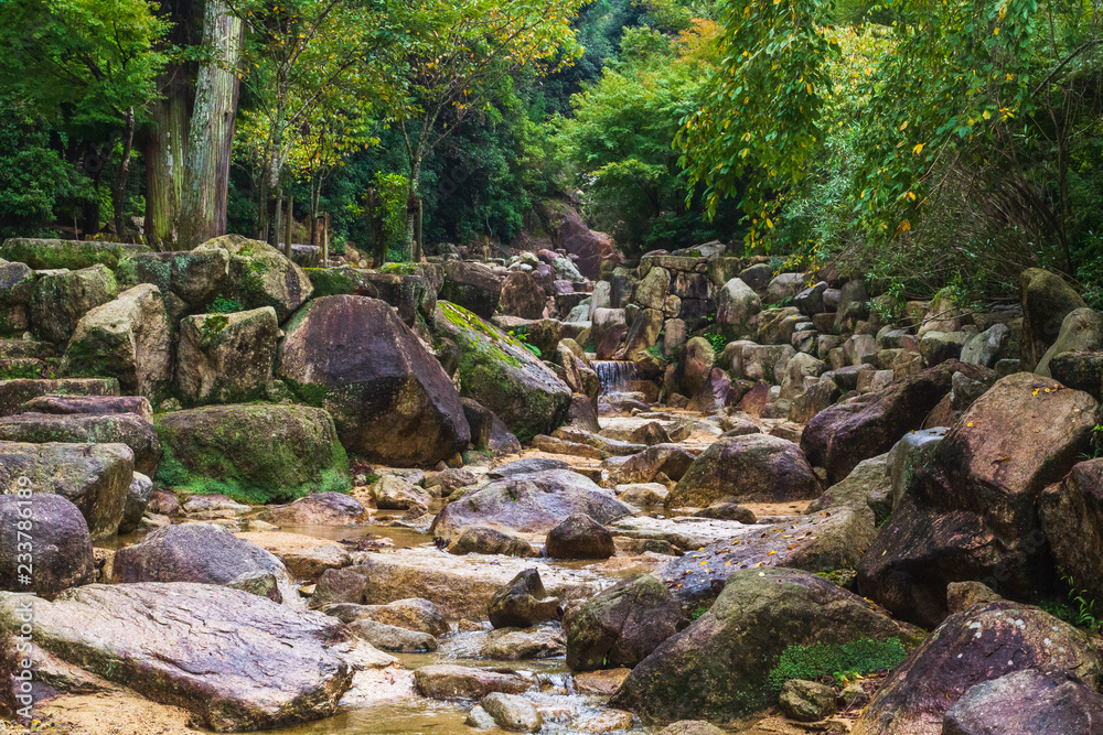 River in  Miyajima, Japan.	