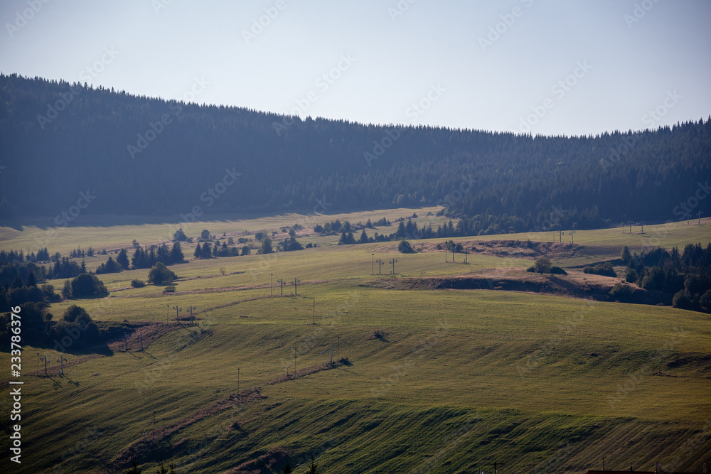 Fototapeta premium cloudy and misty Slovakian Western Carpathian Tatra Mountain skyline covered with forests and trees