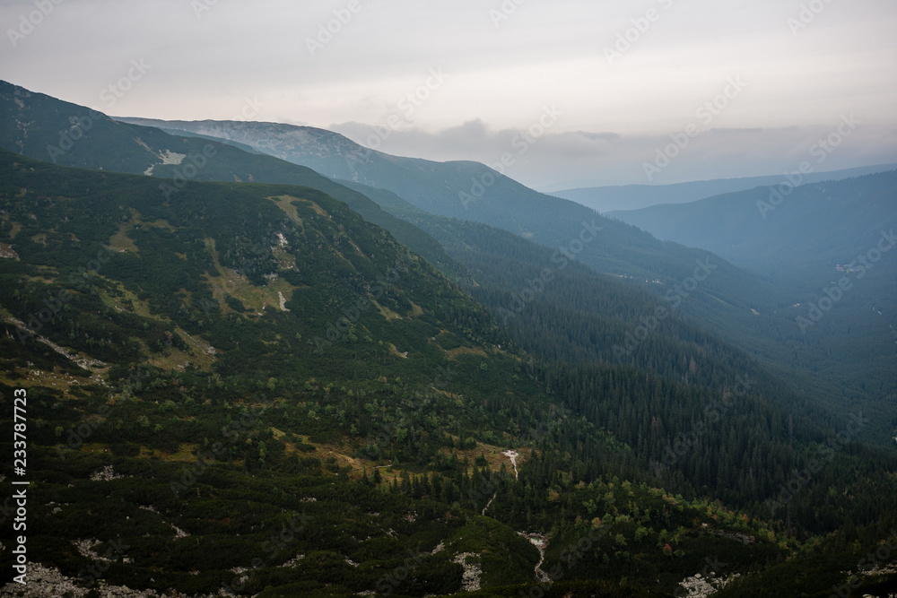 Fototapeta premium cloudy and misty Slovakian Western Carpathian Tatra Mountain skyline covered with forests and trees