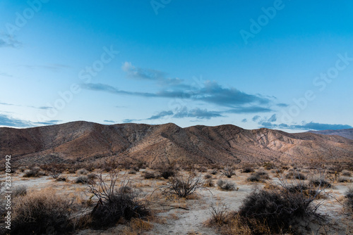 Desert Landscape in Borrego Springs.