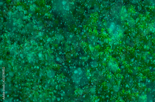 abstract green background