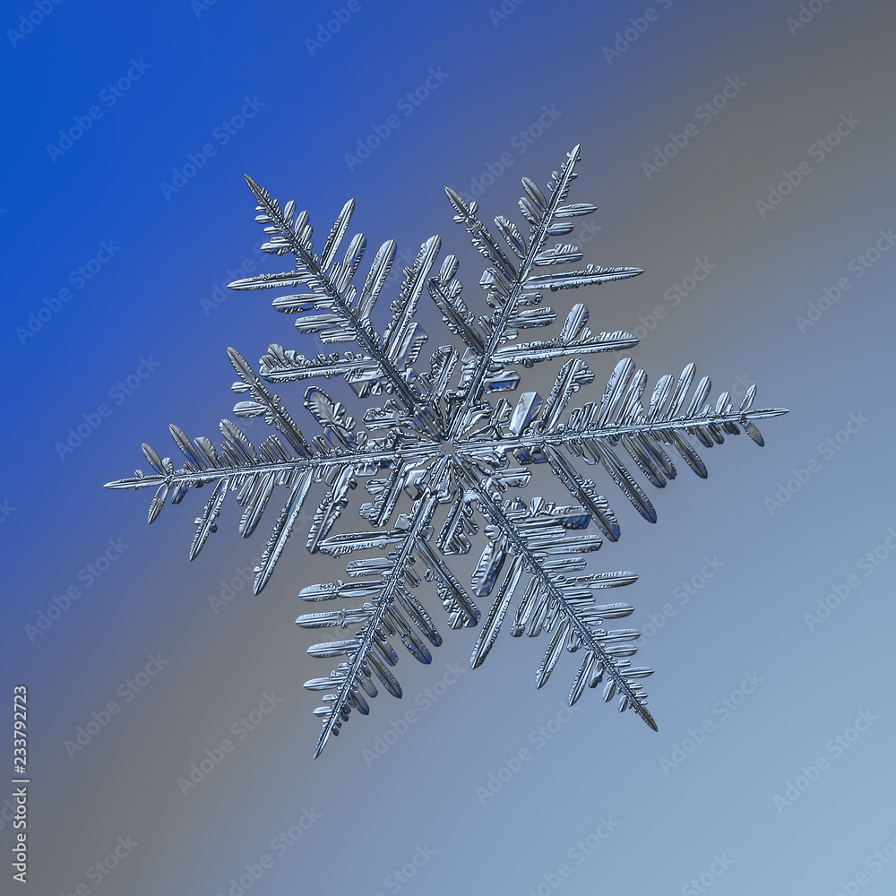 Snowflake glittering on blue gradient background. Macro photo of real snow crystal: elegant stellar dendrite with complex structure, glossy relief surface, ornate shape and intricate inner details. Snowflake glittering on blue gradient background. Macro photo of real snow crystal: elegant stellar dendrite with complex structure, glossy relief surface, ornate shape and intricate inner details.