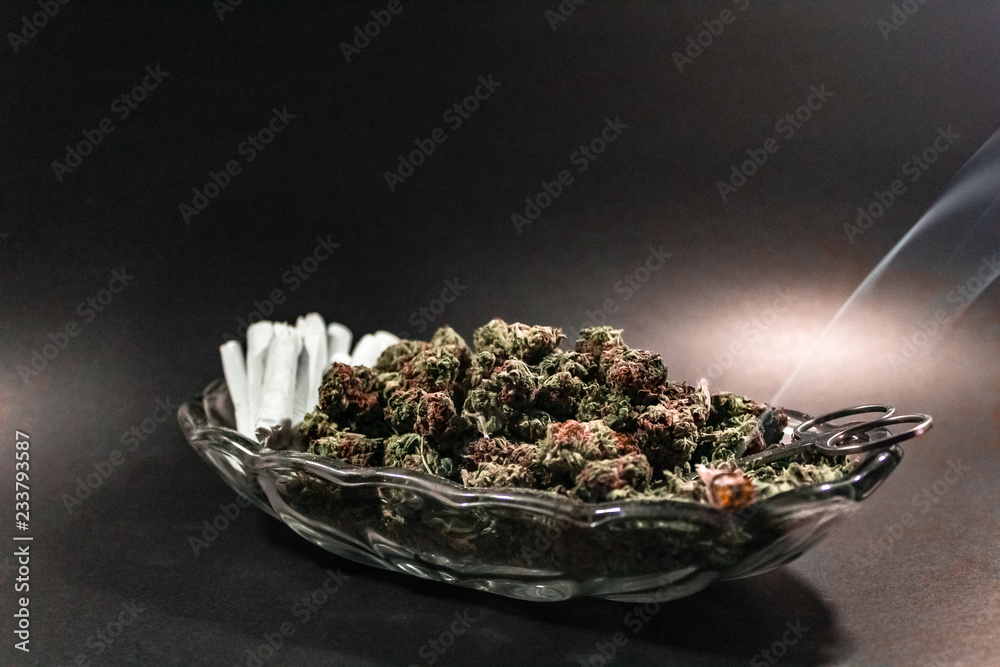 Classy glass dish with marijuana bud, scissors and a dozen joints with one burning on black with spot lighting