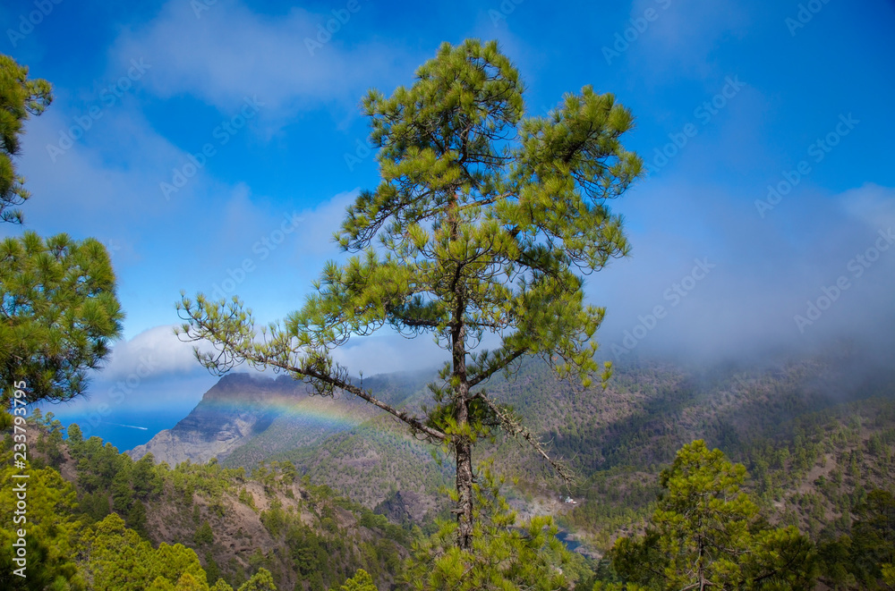 Obraz premium Gran Canaria, November