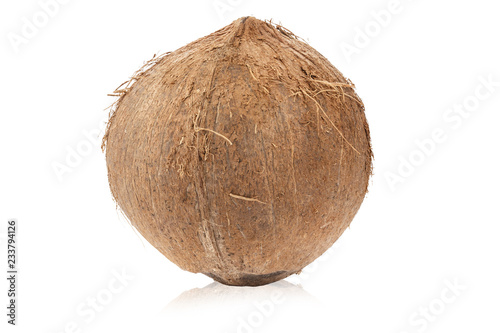 one whole coconut isolated