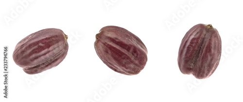 Jojoba Seed or Nut (Simmondsia Chinensis). Isolated on White Background.