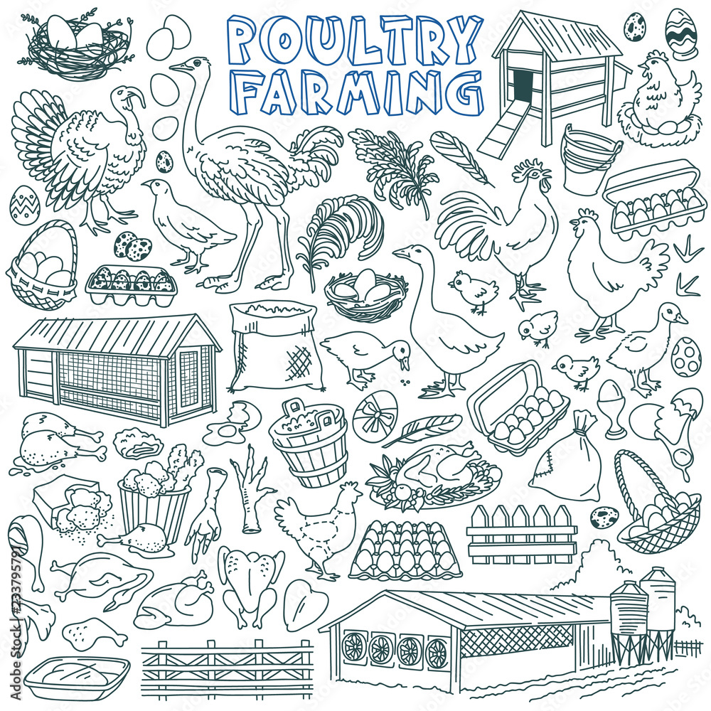 Poultry farming doodle set. Domestic birds and eggs - chicken, goose, duck, quail, turkey, ostrich. Hand drawn vector illustration isolated on white background