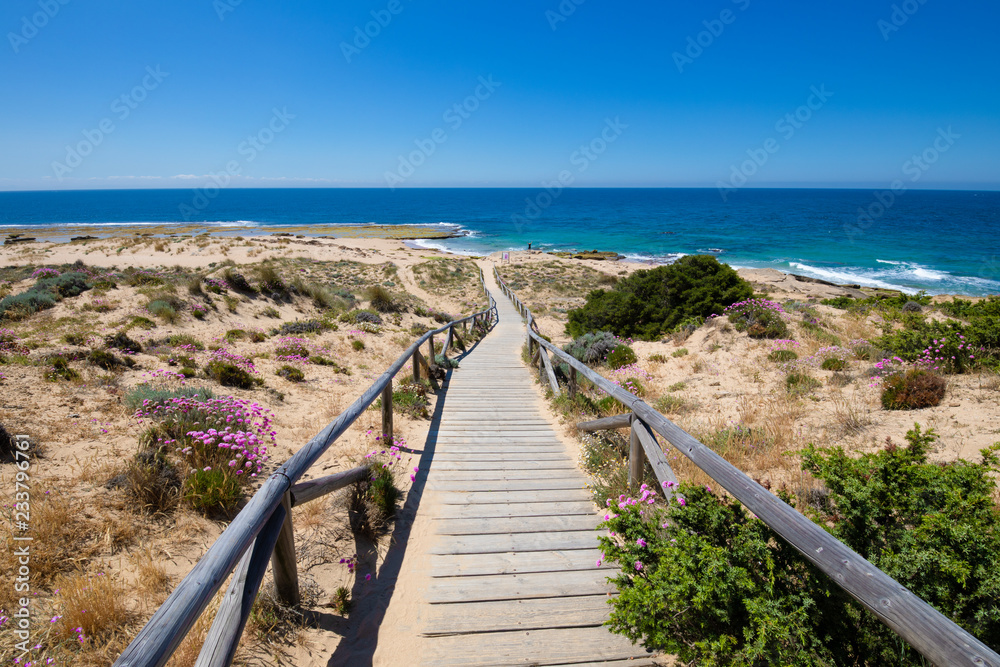 wooden walkway down to the beach and ocean coast in Cape Trafalgar, near Canos Meca village (Barbate, Cadiz, Andalusia, Spain), blue sky