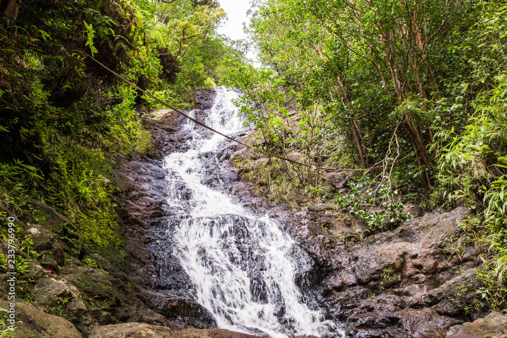 Auf dem Ka'au Crater Trail, Oahu, Hawaii Auf dem Ka'au Crater Trail, Oahu, Hawaii