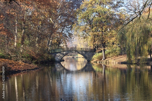 bridge over the river