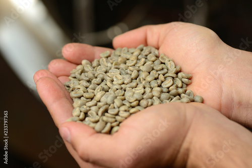 green coffee beans in hand
